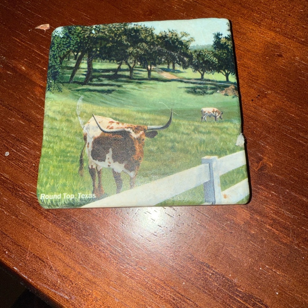 Round Top Texas Coaster with Longhorn Design